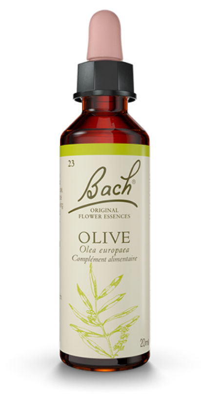 Olivier (Olive) 20 ml