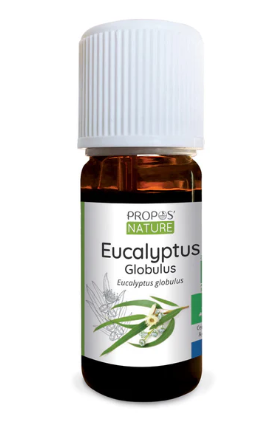 Huile essentielle d'Eucalyptus globulus Bio
