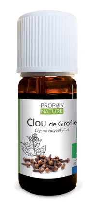 Huile essentielle de Clou de girofle Bio