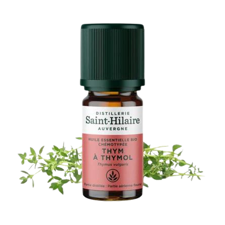 Huile Essentielle Thym Thuyanol BIO - flacon 5 ml