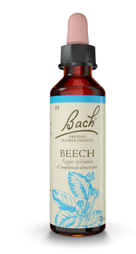 Hêtre (Beech) 20 ml