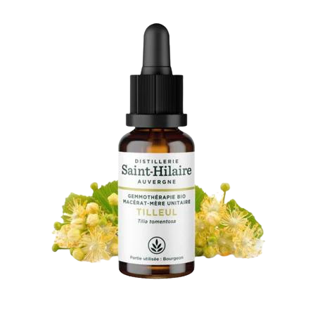 Macérat de Tilleul BIO - 30 ml