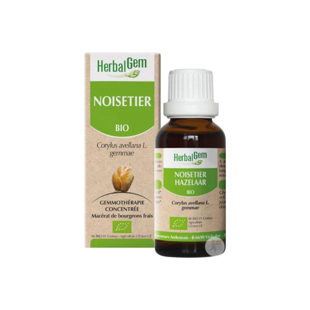 Noisetier BIO -  30 ml